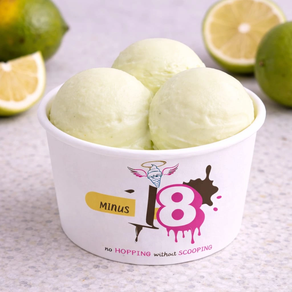Minus Eighteen Ice Cream